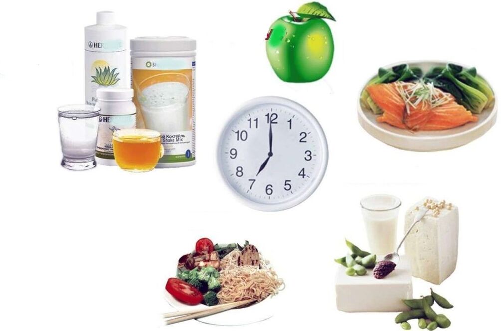 the right diet plan to lose weight